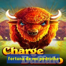 fortuna de mc pedrinho