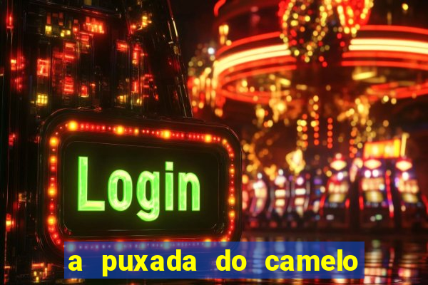 a puxada do camelo no jogo do bicho