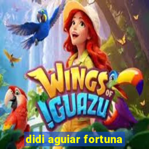 didi aguiar fortuna