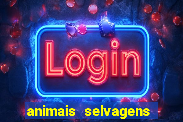 animais selvagens fotos e nomes