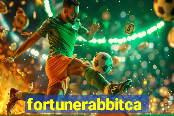 fortunerabbitcasino.online