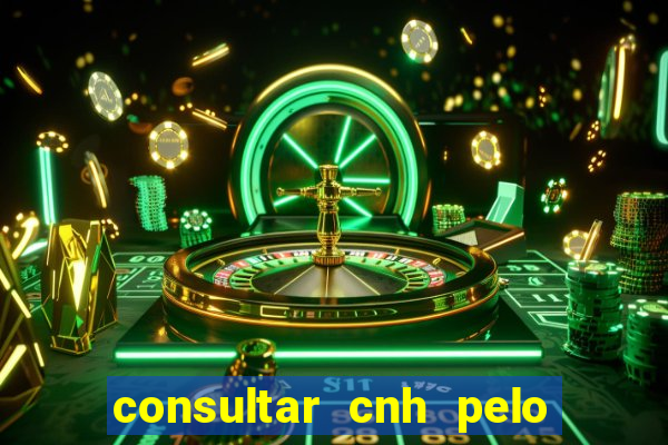 consultar cnh pelo cpf sp