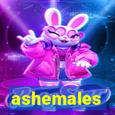 ashemales